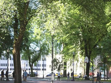 North Park Blocks