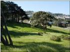 Rolling hills and meadows in San Francisco's John McLaren Park