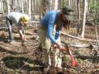 Volunteers work on the Ester Dome mountain bike trail.
