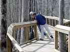 Accessible boardwalks wind through the heart of Lorance Creek Natural Area