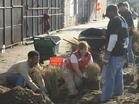 Groundwork New Orleans volunteers beautify the neighborhood at a Timberland Service Day.