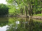 Paddling with pleasure down a beautiful Iowa river