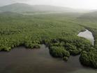 Puerto Rico preserves Laura Magruder Aereas conservation land from Naval Station Roosevelt Roads.