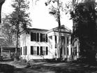 Rowan Oak 