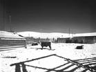 Sommers Ranch Corrals