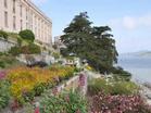 Officers' Row at the Alcatraz Gardens.
