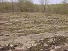 Limestone bedrock prairie after a prescribed burn