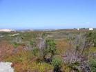 Fort Ord Dunes State Park