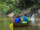 Paddlers get ready to launch on the Forked Deer River