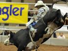 Rodeo at Queen Creek's Horseshoe Park & Equestrian Centre