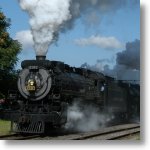 A steam locomotive roars past a grove of trees, white steam against the blue sky.
