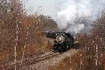 Passenger train in late fall foliage.