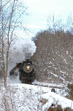 A steam locomotive with a cloud of condensed steam above rolls past snow covered trees