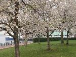 Spring has finally arrived