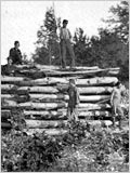 Signalmen on and around a log structure