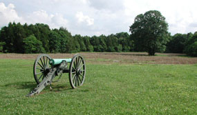 Cannon in field