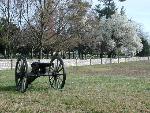 Cannon in field
