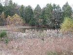 Pond at McFadden Farm