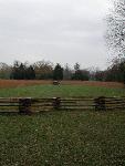 Cannon in field