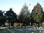 graves and flag pole