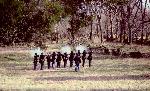 Union Troops Firing Muskets