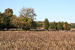 Open field with cannons in the distance
