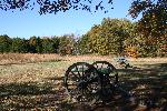 Two Cannons with trees in the background