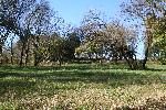 Image depicts a view up a slope.