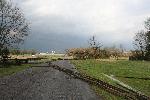 Damaged fence and fallen trees