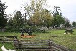 Tree fallen over cemetery wall.