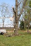 Man using cahinsaw from a bucket