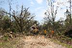 NPS employees chipping fallen trees.