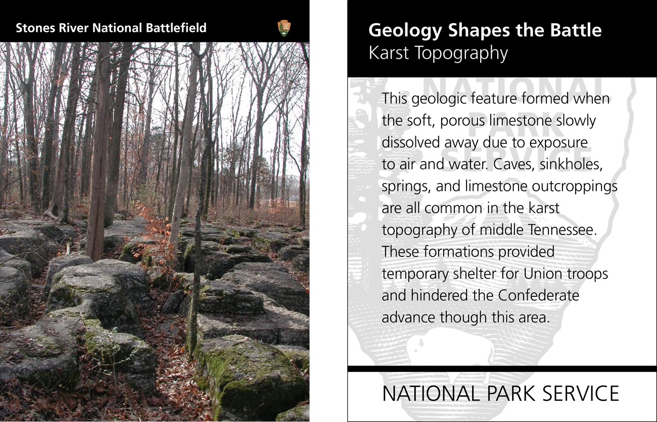 Grey rock outcroppings covered in moss with skinny tress between them. Tex is on the reverse side of the card.