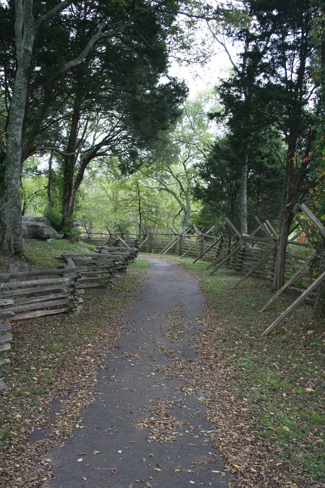 Brown leaves partially cover a paved trail bracketed on both sides by snake rail fence.