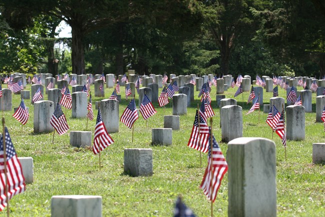 Rows of headstones in a national cemetery. Small American Flags stand in front of each headstone.