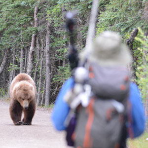 Person and approaching bear Person and approaching bear