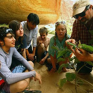 Students taking a close look at plant in Grand Canyon