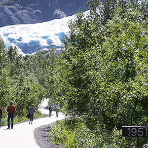 Once covering a larger area, visitors now walk a path to Exit Glacier showing how it has receded in the last 60 years at Kenai Fjords National Park. In the lower right corner of the image you can see where the glacier terminated in 1951.