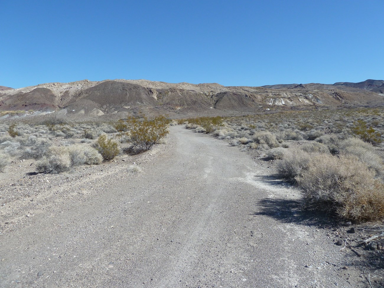 A ranch entrance road is a narrow, curvilinear road surfaced with dirt and leading through low scrubby vegetation.