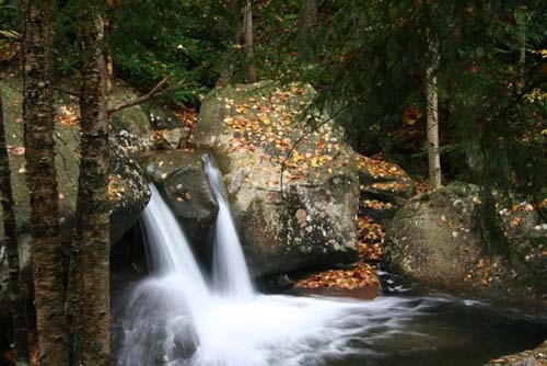 Two small waterfalls flowing off leaf-covered boulders.