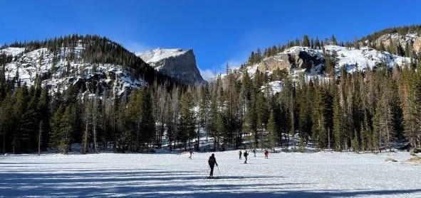 Skiers navigate along a mild slope of snowy hillside with snow and tree covered mountains behind them.