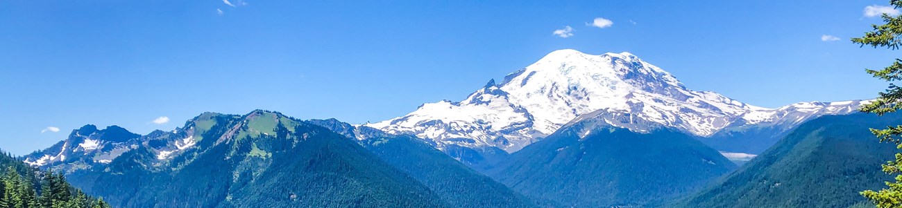 a panorama image of snow and glacier capped Mount Rainer and forested valley below