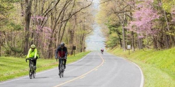 Bicyclists in Shenandoah National Park