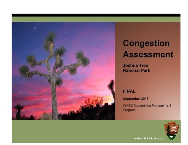 Report cover with a sunset behind a majestic Joshua Tree