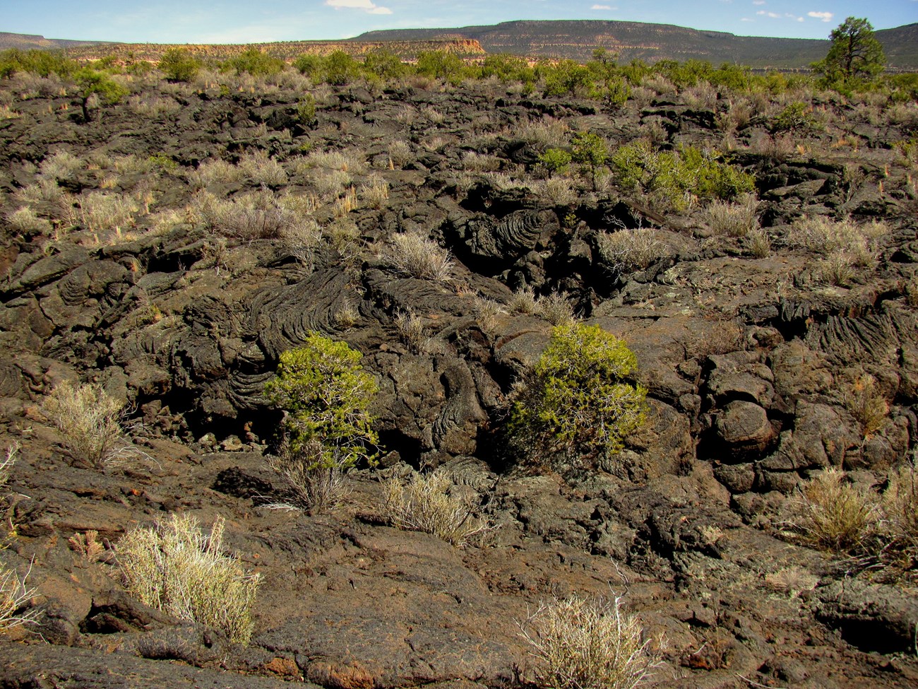 Photo of a volcanic landscape with arid region vegetation
