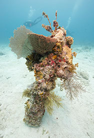 Diver behind a coral encrusted historic anchor, Biscayne National Park