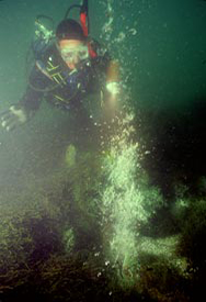 Scientific diver hovering over an underwater vent