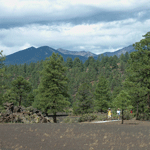 View of San Francisco Peaks from the Lava Flow Trail.