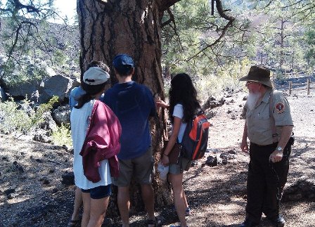 Visitors examine a Ponderosa