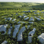 One of 8 Kansas Wonders